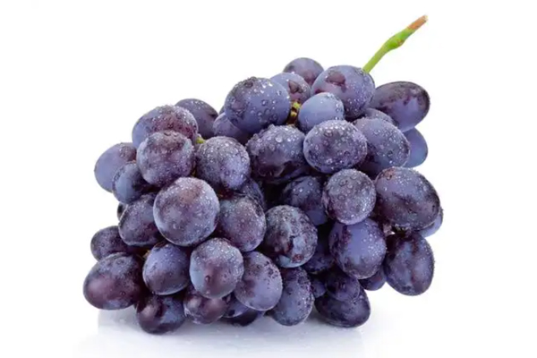 葡萄