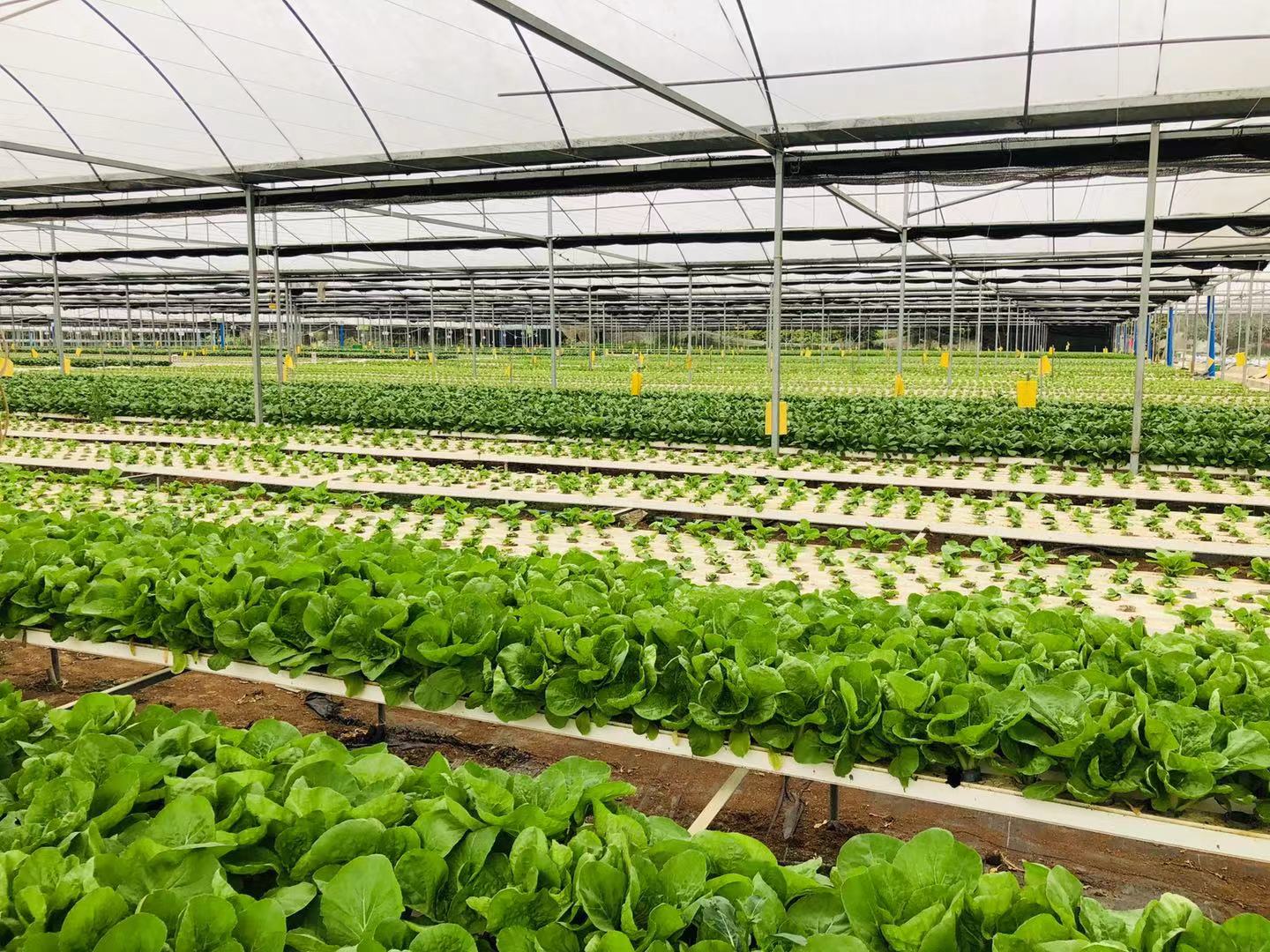 b6db67706da873d82453b2ff5bfb8e92_161893281528