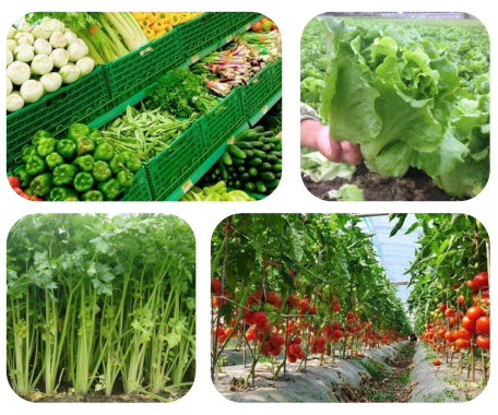 c11f2633eb5bb0d81a525b7ab7865dc4_image(45)