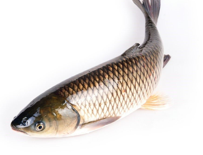 179f578083b730a55f44471206f205a3_image(72)